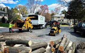Best Tree Mulching  in Barstow, CA