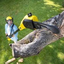 Best Artificial Turf Installation  in Barstow, CA