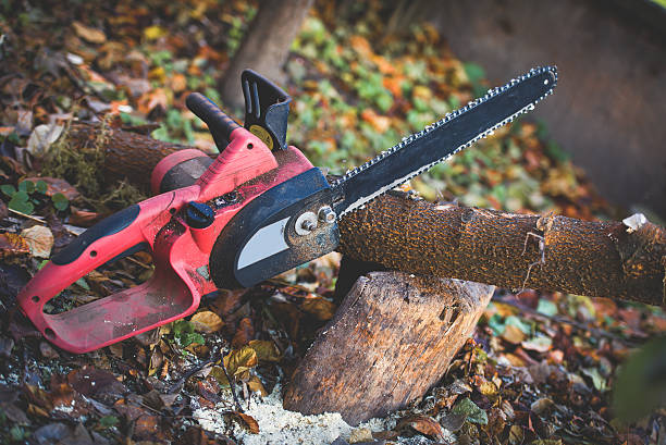 Best Lawn Maintenance Plans  in Barstow, CA